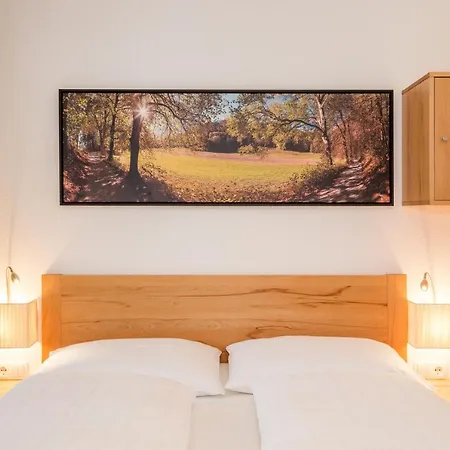 Aichner Aparthotel 3*